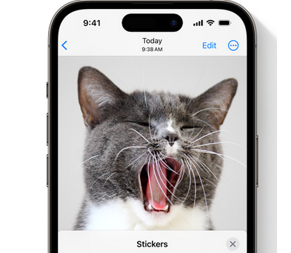 湘潭苹果电脑维修分享iOS17中的贴纸功能是什么