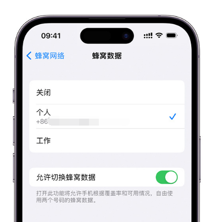 湘潭苹果维修服务分享如何在iPhone上使用双卡 